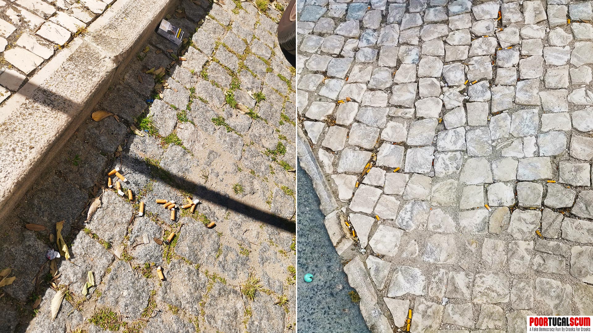 Cigarette butts thrown on Portuguese streets
