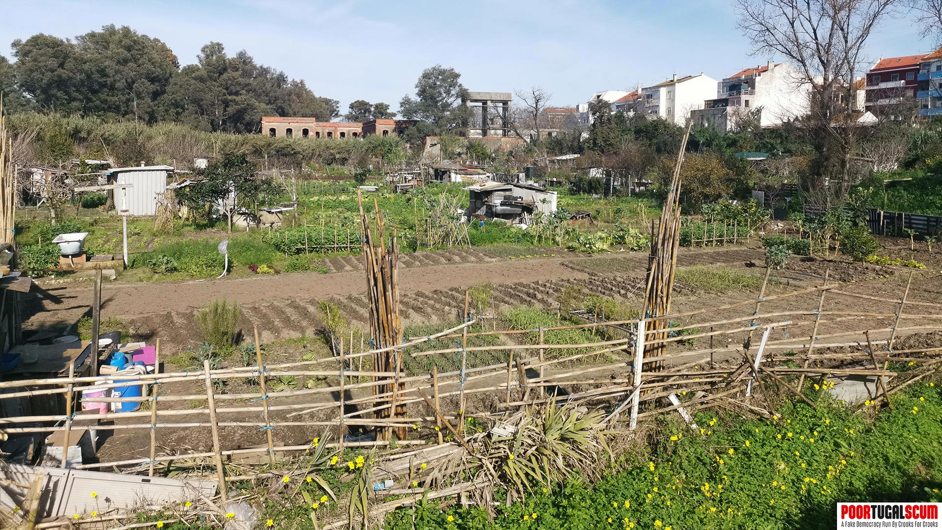 Private vegetable gardens at the entrance of a Portuguese city